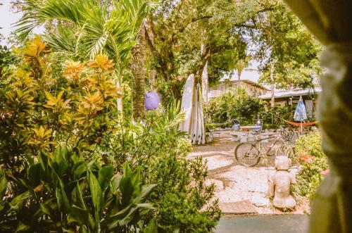 Apartamento Cabinas Zullymar