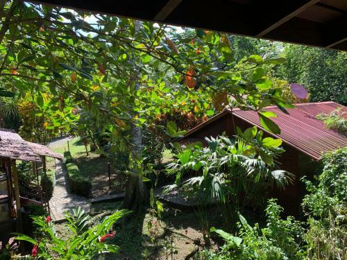 Posada Cabinas Nirvana Ecolodge