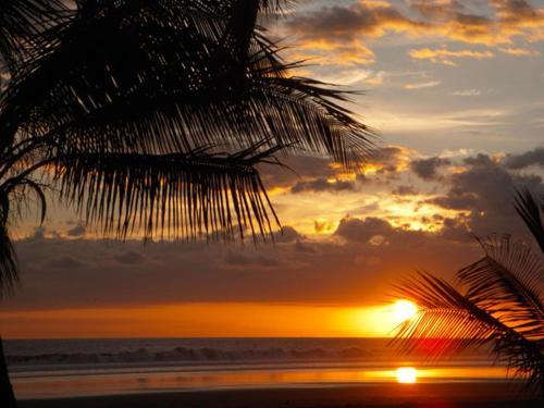 Hotel Playa Bejuco