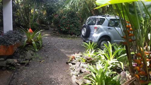Lodge Cabinas Tito