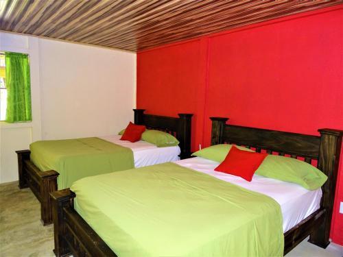 Bed & Breakfast Osa Tucan
