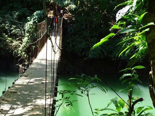 Bed & Breakfast Osa Tucan