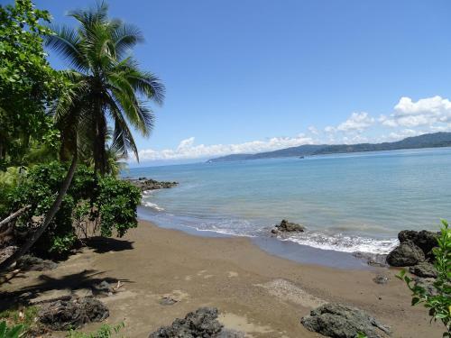 Bed & Breakfast Osa Tucan