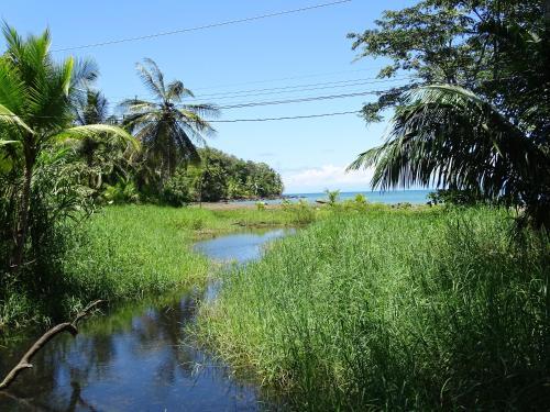 Bed & Breakfast Osa Tucan