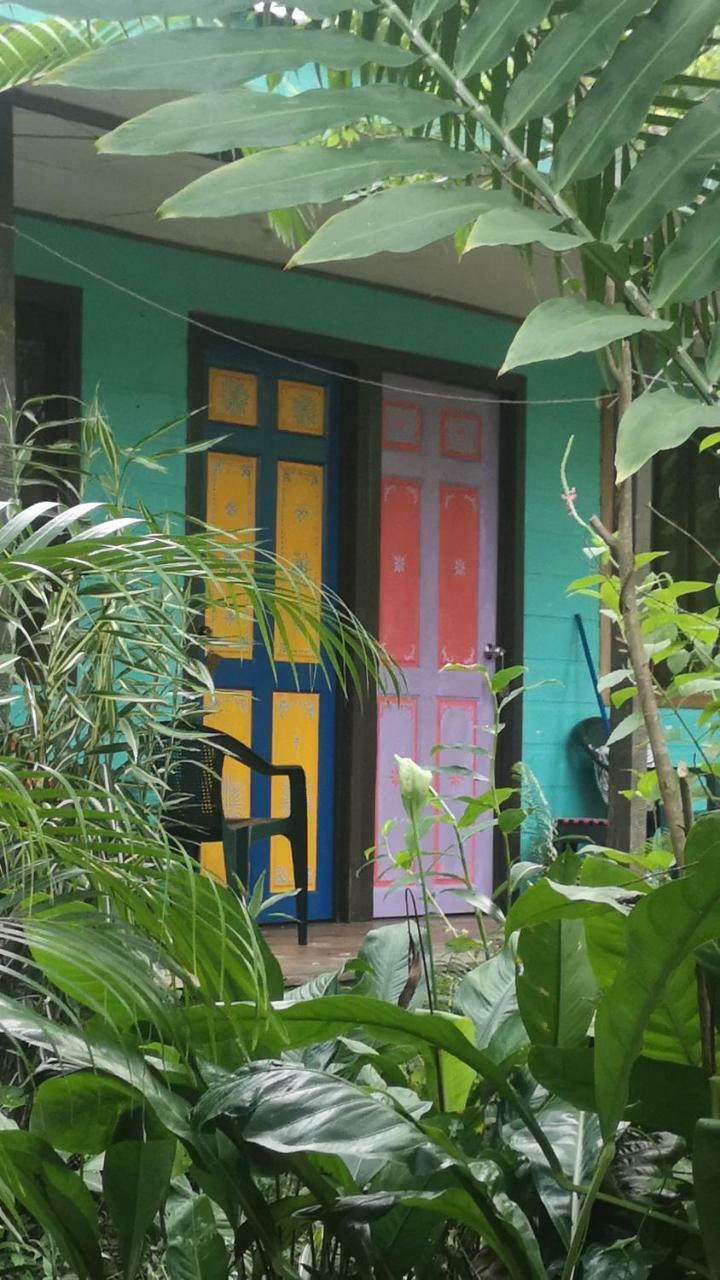 Hotel Cabinas Tortuguero