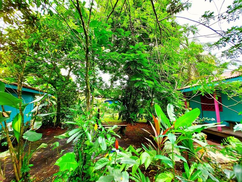 Hotel Cabinas Tortuguero