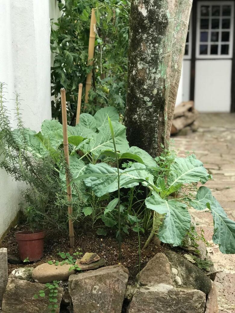 Casa No Centro Hist�rico De Paraty