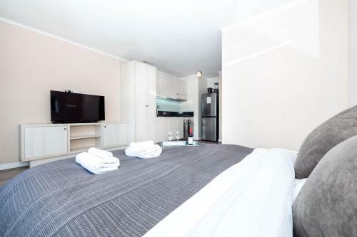 Delightful Downtown Apartment