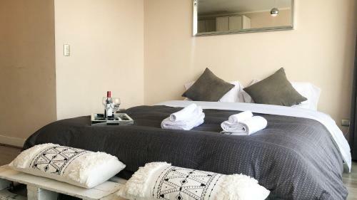 Delightful Downtown Apartment