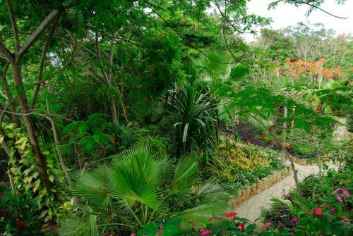 Albergue Hoster�a Mand�la
