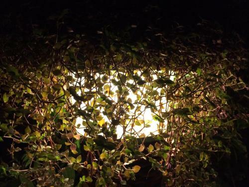 Albergue Hoster�a Mand�la