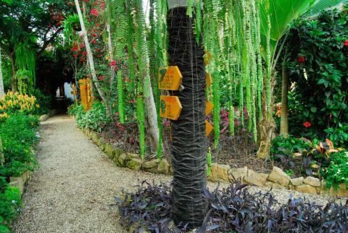 Albergue Hoster�a Mand�la