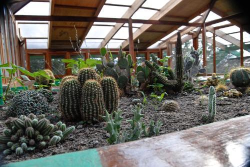 Albergue Hoster�a Mand�la