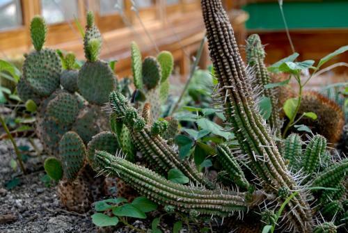 Albergue Hoster�a Mand�la
