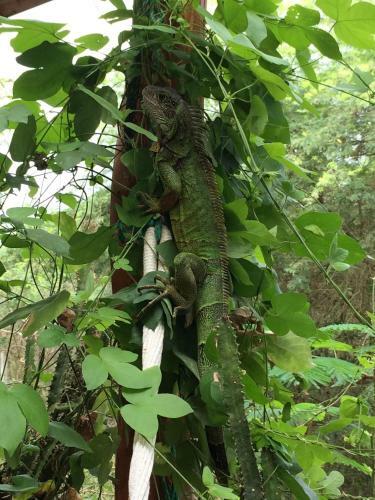 Albergue Hoster�a Mand�la