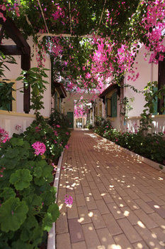 Hotel Paul Marie Apartments