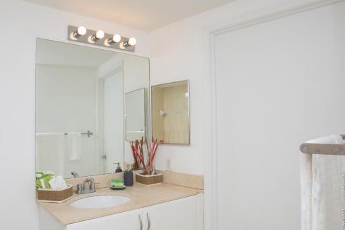 Luxury Apartment In Downtown