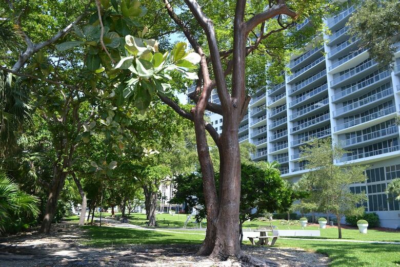 Apartamento Icon Residences