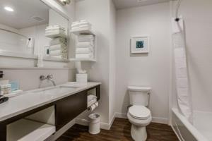 Hotel Hampton Inn & Suites Dallas-central Expy/north Park Area
