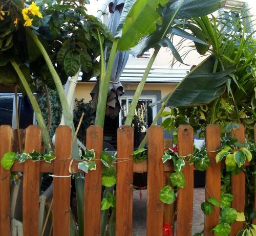 Apartamento Casa Green Oasis