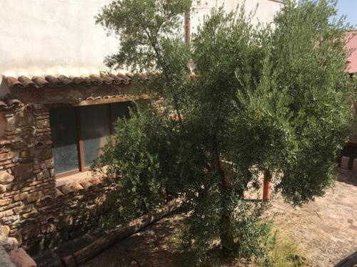 Apartahotel Don Juan-el Olivar De Segura