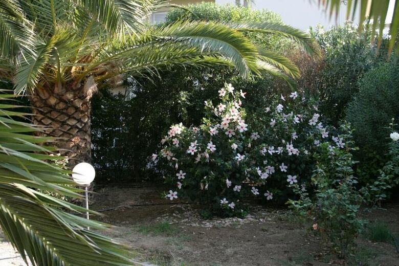 Hotel Gorgona Amudara