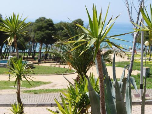 Apartment Tres Piedras