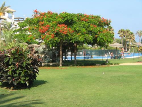 Apartamento Venavera Playa Jardines I3-1d