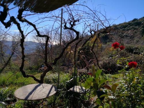 Agroturismo Cortijo Buena Vista
