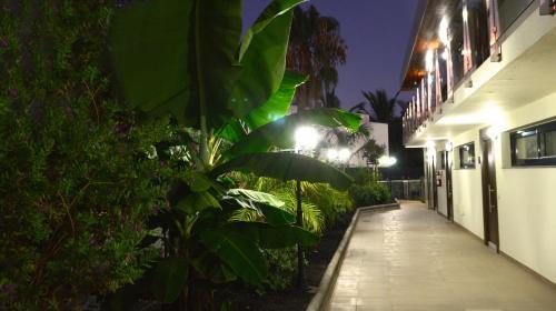Apartamento La Cataleya