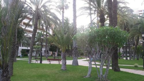 Apartamento Palmeral De Torrevieja