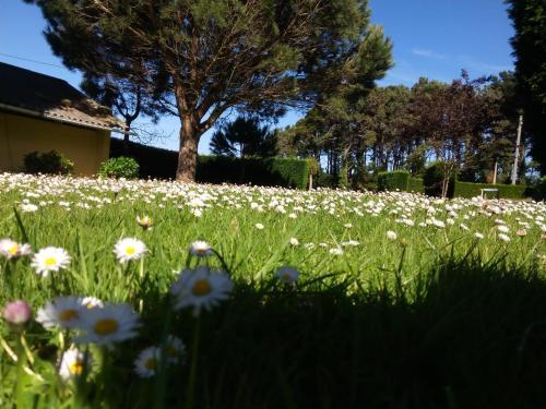 Agroturismo Casa Guillermo