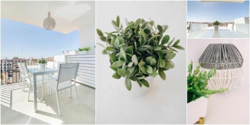 Apartamento Oasis De Sitges