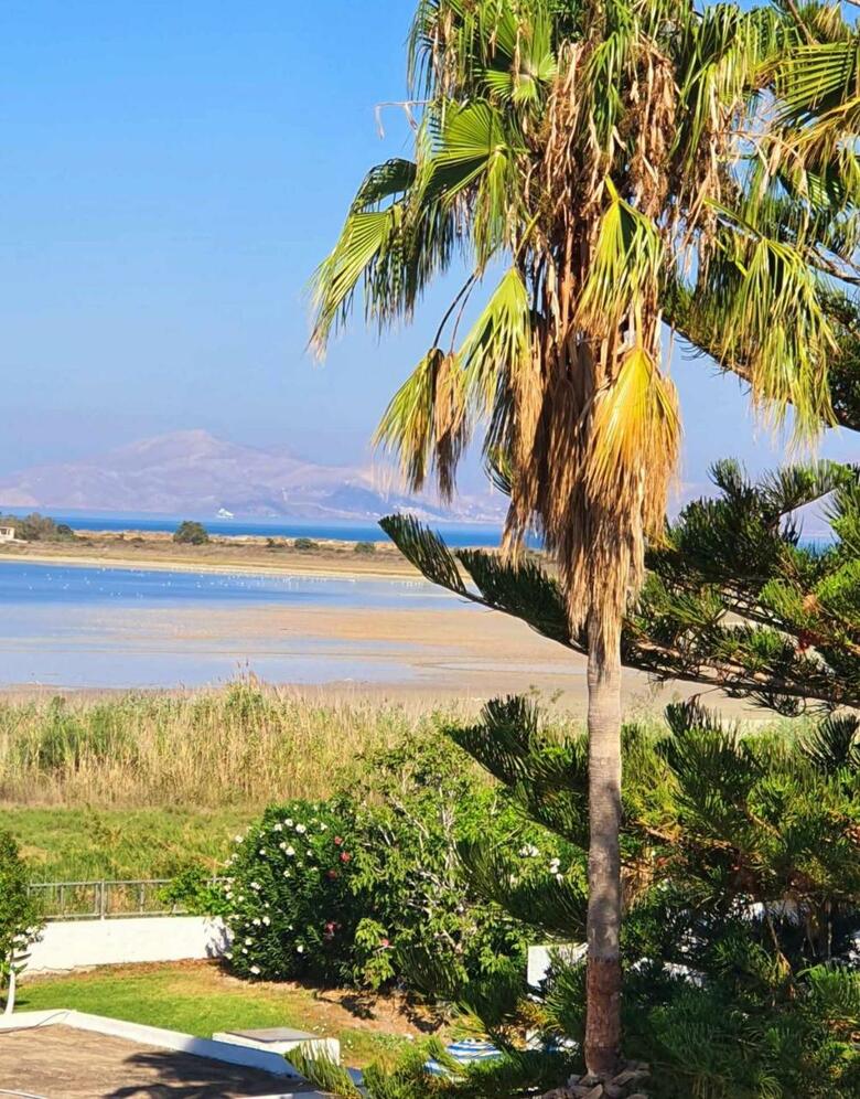 Hotel Tigaki`s Star