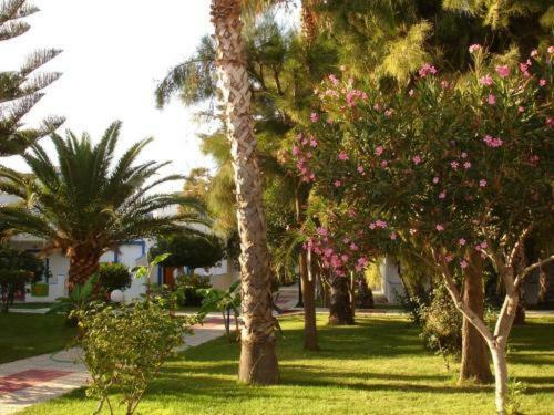 Hotel Tigaki`s Star