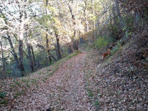 Agroturismo Caba�as El Ruso