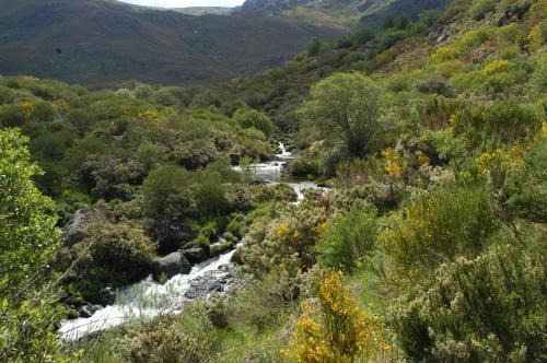 Agroturismo Caba�as El Ruso
