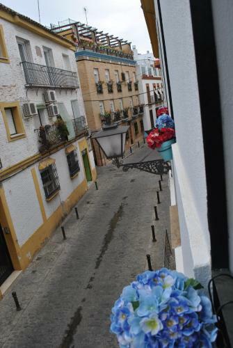 Apartamento Triana Pelay