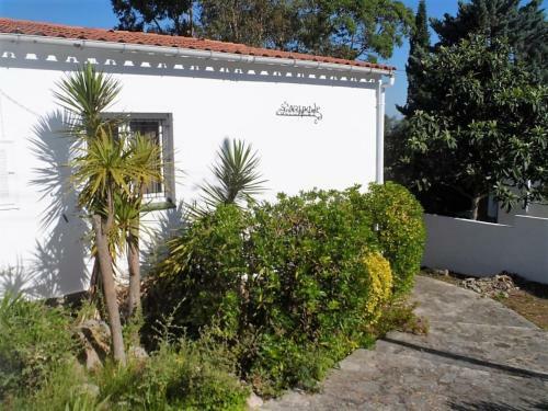 Villa Bassagoda L�escala
