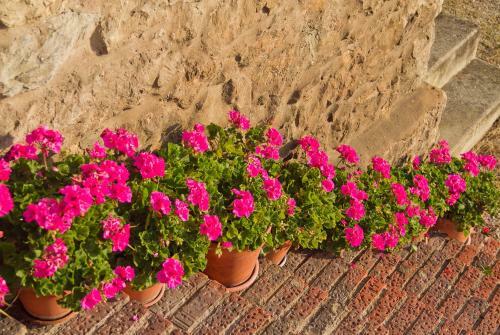 Agroturismo Posada La Solana