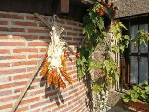 Agroturismo Posada La Solana