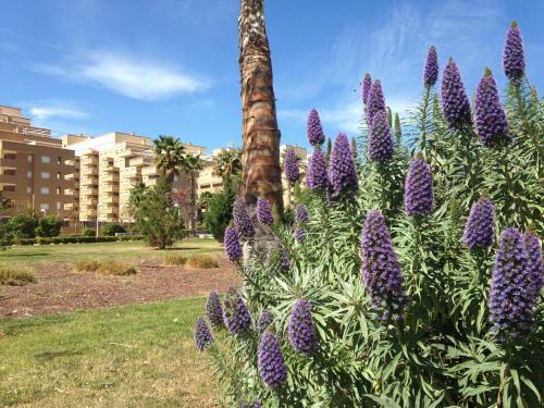 Apartamentos Be Suites Marina