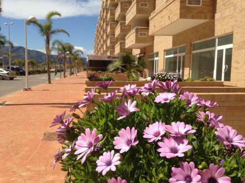 Apartamentos Be Suites Marina