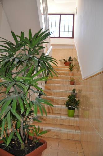 Hd Mogan Beach Apartment