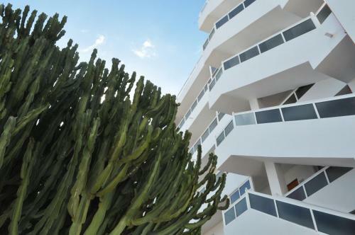 Apartamentos Calma