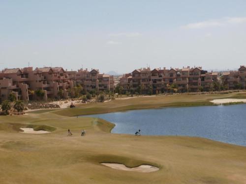 Apartment Torre-pacheco 36