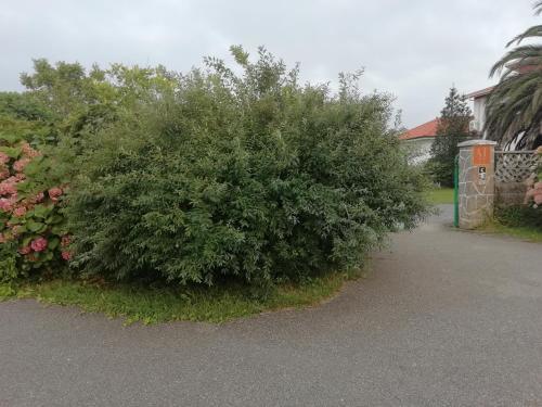 Apartamentos �scar Valle