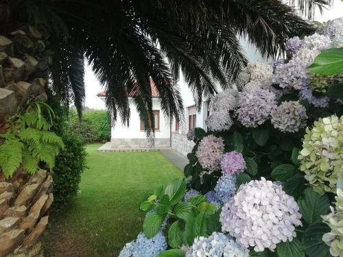Apartamentos �scar Valle