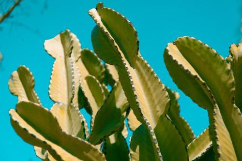 Agroturismo Can Arab�