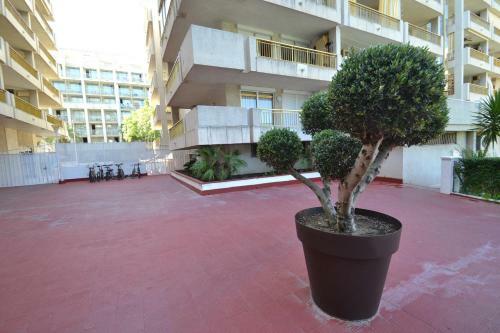 Apartamento Wvp - Catalunya 4